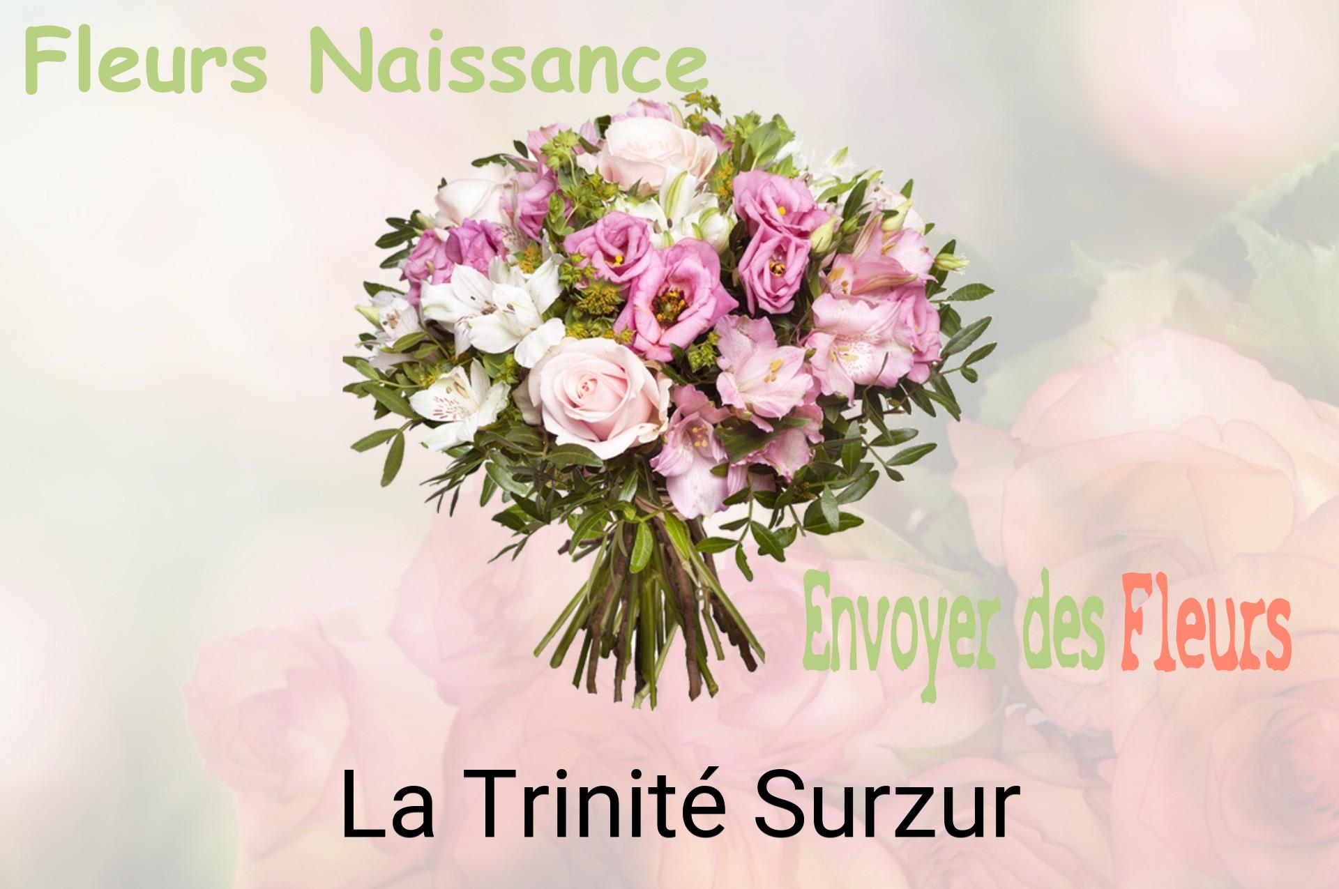 Bouquet de fleurs de naissance livré à La Trinité-Surzur